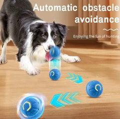 Smart Pet Play Ball