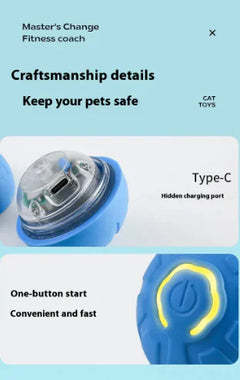 Smart Pet Play Ball