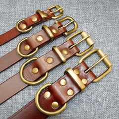 Custom Leather Dog Collar