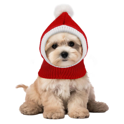 Christmas Pet Hat