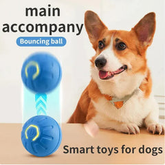 Smart Pet Play Ball
