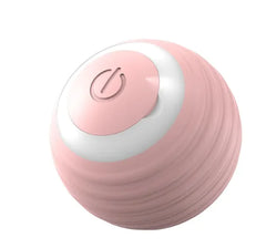 Smart Pet Play Ball