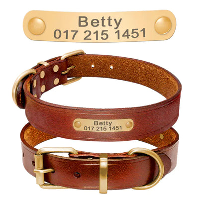 Custom Leather Dog Collar