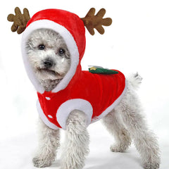 Warm Christmas Pet Dress