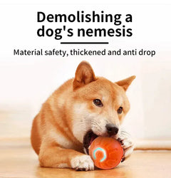 Smart Pet Play Ball